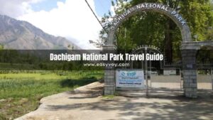 Dachigam National Park Travel Guide