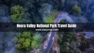 Neora Valley National Park Travel Guide 